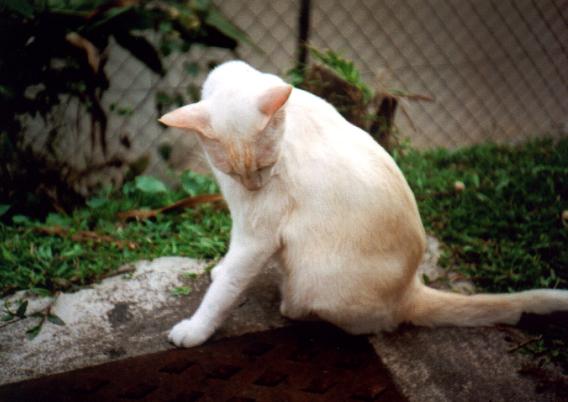 boylomo2.JPG