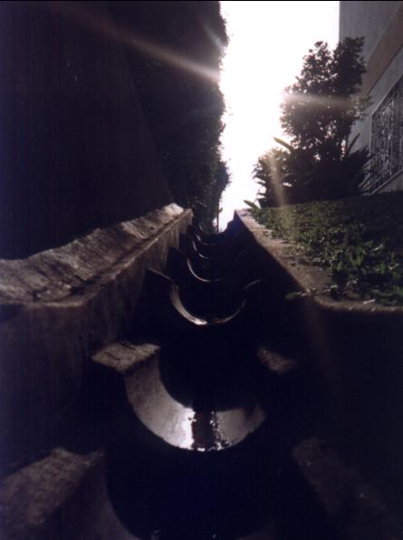 drainlomo.JPG