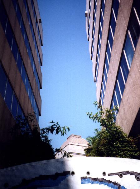 pbdlomo3.JPG